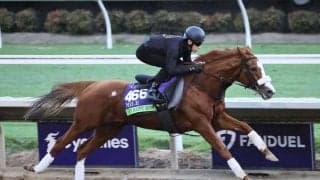 【BCマイル】テンハッピーローズは11番ゲートから