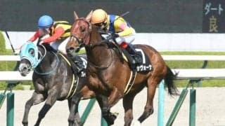 【AR共和国杯展望】好走傾向に合致するサヴォーナを信頼