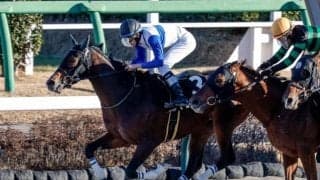 【みやこS展望】チャンピオンズCの前哨戦、好走条件に合致するロードアヴニールが狙い