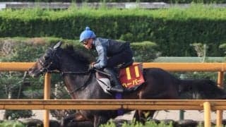 ハーパーなど、エリザベス女王杯1週前追い切り速報/栗東トレセンニュース