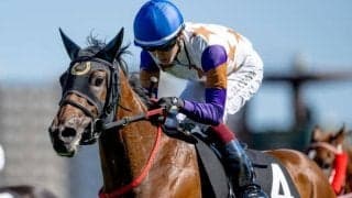 【ファンタジーS出走馬・騎手確定】カワキタマナレア＆鮫島克駿騎手、ゴージャス＆浜中俊騎手など15頭