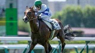 【京王杯2歳S出走馬・騎手確定】ヒシアマン＆藤岡佑介騎手、エイシンワンド＆幸英明騎手など14頭