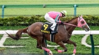 【みやこS出走馬・騎手確定】オメガギネス＆藤岡佑介騎手、サンライズジパング＆鮫島克駿騎手など15頭