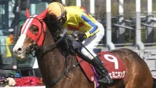 昨年の阪神SJで10番人気V ジェミニキングが京都競馬場で乗馬に