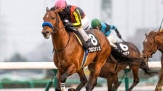 【AR共和国杯出走馬・騎手確定】クロミナンス＆戸崎圭太騎手、サヴォーナ＆池添謙一騎手など16頭