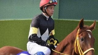 フランケル×桜花賞馬レッツゴードンキの超良血 初戦から好勝負期待