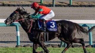 昨年の中山大障害覇者 3年1カ月ぶりに平地競走チャレンジ