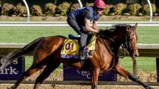 世界的トレーナーがBCクラシック初Vへ 「この馬は特別」と期待の英ダービー覇者で参戦