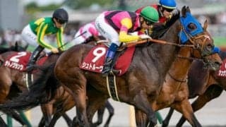 国枝厩舎の2億5000万円馬 期待に応えるデビューVなるか