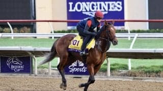 【BCクラシック】ムーア「最善を尽くすだけ」…シティオブトロイはダート初挑戦