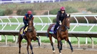 【BCターフ】A.オブライエン師「良い枠」ルクセンブルクはチャンス十分