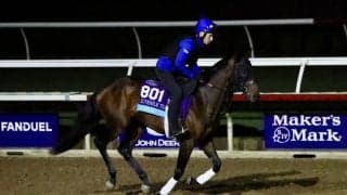 【BCジュベナイルターフ】ゴドルフィンのアオモリシティーG1初Vを狙う…サトノカルナバルのライバル