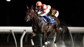 【JBCスプリント】武豊チカッパなどJRA馬は5頭…地方はイグナイターを中心