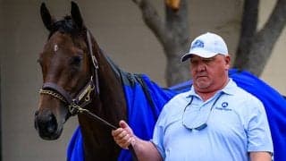 無傷7連勝中オーサムリザルトら日本勢の強敵 米・年度代表馬候補の3歳牝馬は「夢のような馬」