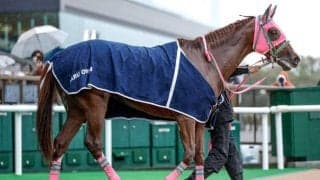 【みやこS枠順確定】オメガギネスは5枠8番、ミトノオーは7枠12番