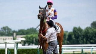 【ファンタジーS枠順確定】カワキタマナレアは8枠15番、ヴーレヴーは5枠9番