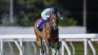 【佐賀・JBCクラシック枠順】前哨戦の日本テレビ盃を制したウィリアムバローズは7枠9番