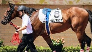 【門別・JBC2歳優駿枠順】前走3.3秒差Vのタガノマカシヤは8枠10番