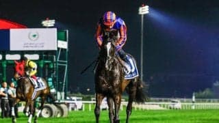 ジャパンCにオーギュストロダンら3頭、キャピタルSに1頭が出走 JRAが外国馬の来日スケジュール発表