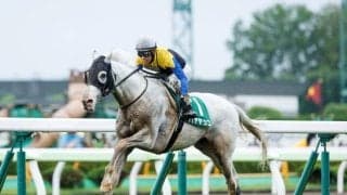 今週末は天気下り坂 JRA4重賞で注目したい重馬場巧者は？