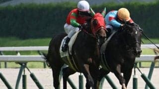 【京王杯2歳S予想】的中の秘訣は前走からの間隔にある!? 重賞好走馬に立ちはだかる試練