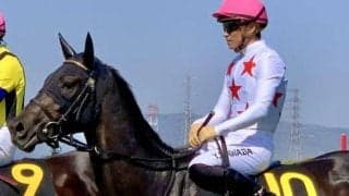 中内田充正厩舎の元クラシック候補 日曜福島9Rの土湯温泉特別で1年7カ月ぶり始動