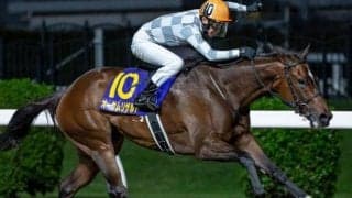 今週の武豊騎手はデルマーから佐賀で4鞍 ブリーダーズカップ初制覇目指す