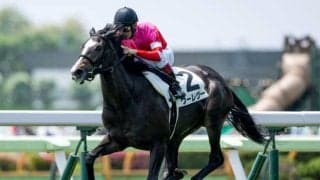 【ファンタジーS予想】昨年は三連単230万馬券の大波乱！ 間隔の詰まった人気馬には注意が必要