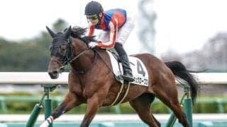 【デイリー杯2歳S想定馬・騎手】キュクロープス、ロンドボスなど6頭