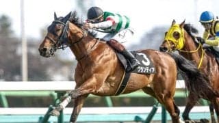 【福島記念想定馬・騎手】ドクタードリトル、フライライクバードなど19頭