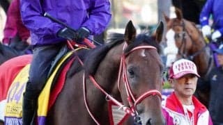 10競走に計19頭の日本馬出走 ブリーダーズカップは馬券発売が無いレースも見どころ盛りだくさん
