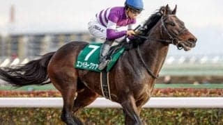 【武蔵野S想定馬・騎手】エンペラーワケア、ペイシャエスなど15頭