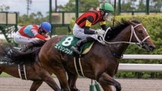 【今日の注目ポイント】東京で京王杯2歳Sと京都でファンタジーS 早朝には米国でBC