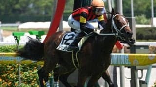 【京王杯2歳S予想】キャリアがものを言う2歳重賞 快足生かして先頭で駆け抜けるのはどの馬か