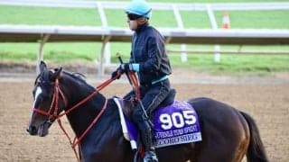 【BCジュベナイルターフスプリント】ルメール騎乗 エコロージークは8着