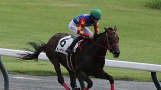 【米・BCジュベナイルフィリーズ結果】イマーシブが無傷4連勝 日本勢は着外