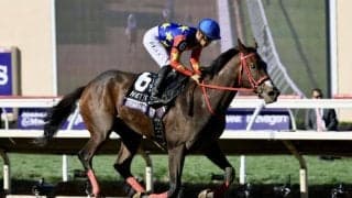 【BCジュベナイルフィリーズ】日本勢見せ場なく敗退…オトメナシャチョウ7着、アメリカンビキニ9着