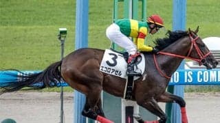 【米・BCジュベナイル結果】シチズンブルが逃げ切りV 日本勢は着外