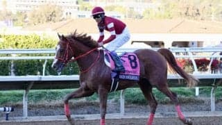 【BCジュベナイル】武豊シンビリーブは10着、菅原明エコロアゼルは8着に敗れる