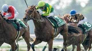 【米・BCジュベナイルターフ結果】アンリマティスが豪快差し切りV 日本のサトノカルナバルは9着