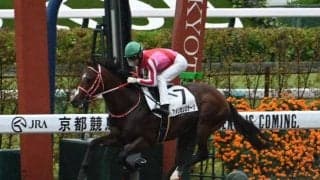 2歳コースレコードを15年ぶり更新 アメリカンステージが大差圧勝/京都2R