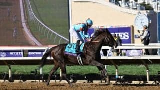 【BCジュベナイルフィリーズ】斉藤崇師「馬も右に張っていた」アメリカンビキニはまさかの最下位