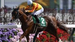 【みやこS予想】前走で逃げた馬も追い込んだ馬も苦戦!? 過去傾向や相手関係などの不安要素を抱える人気馬とは