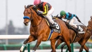 【AR共和国杯予想】若手が活躍する長距離重賞！ 高齢馬は前走の上がりに注目