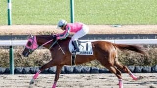 【みやこS前日オッズ】オメガギネスが2.8倍で1番人気