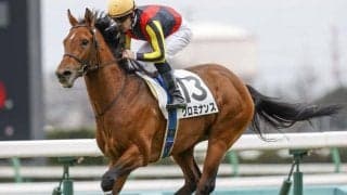 【AR共和国杯前日オッズ】クロミナンスが3.7倍で1番人気