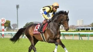 19年の京成杯覇者ラストドラフトが登録抹消 今後は乗馬に