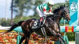 【AI予想・AR共和国杯】意外にも上位人気馬に良績が集中！ 本命は末脚や血統に魅力十分の実力馬