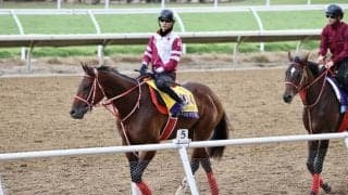 【ブリーダーズカップ】矢作師「本当に良い状態」…フォーエバーヤングで大金星狙う