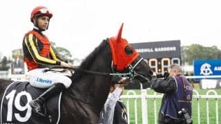 【ゴールデンイーグル】5億円ゲットならず…アスコリピチェーノ、コラソンビートともに完敗